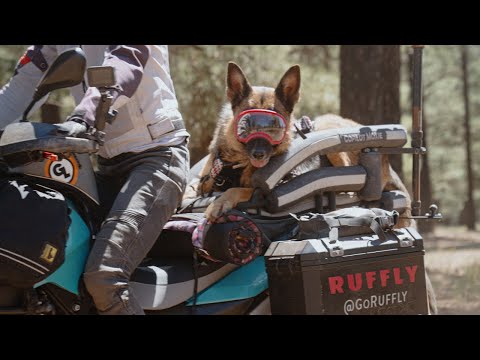 Why We Roam | Season 2, Ep 2 | Jess, Greg & Moxie of Go Ruffly
