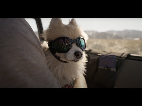 Why We Roam | Ep 4 | Driven to Adventures