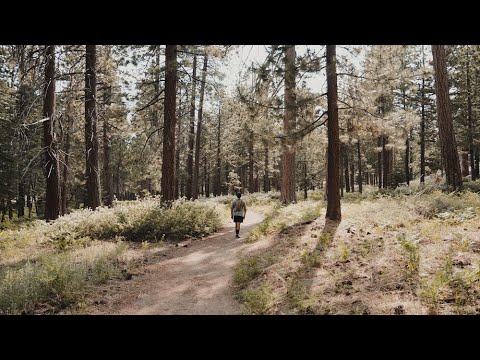 Why We Roam | Ep 1 | Jaime Lozoya