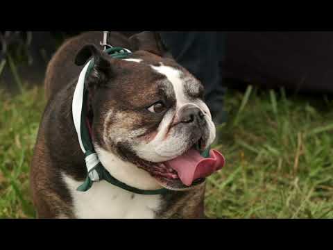 Overland Expo East Friday Recap | 2021